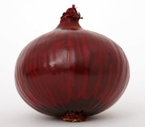 Onion