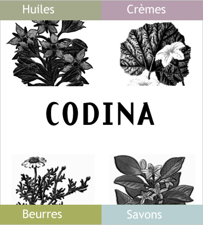 Codina-cosmetique-naturelle